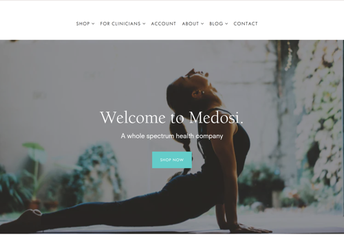 Search Engine Optimization Package Example: Shopify Development