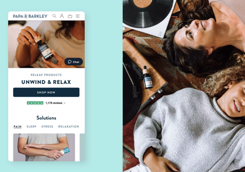 Digital Strategy Package Example: Papa & Barkley Website