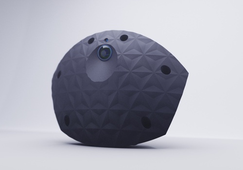 Product Design Package Example: Vandal-Resistant Wall Camera