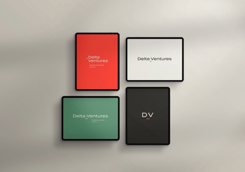 Branding Package Example: Delta Ventures - Building Bridges