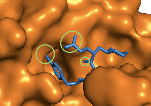 BI & Big Data Consulting & SI Package Example: Molecular Binding Affinity Prediction
