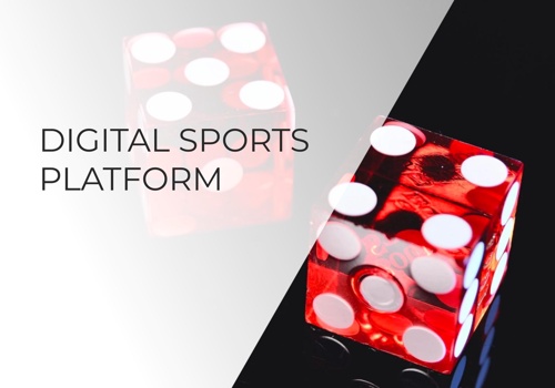 Custom Software Development Package Example: Digital Sports Platform