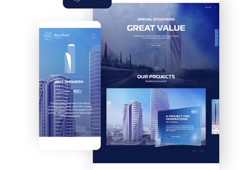 Digital Strategy Package Example: Blue Rose Financial