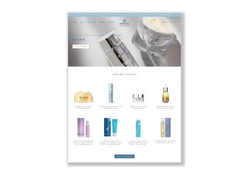 Web Design Package Example: Shopify Design and Development