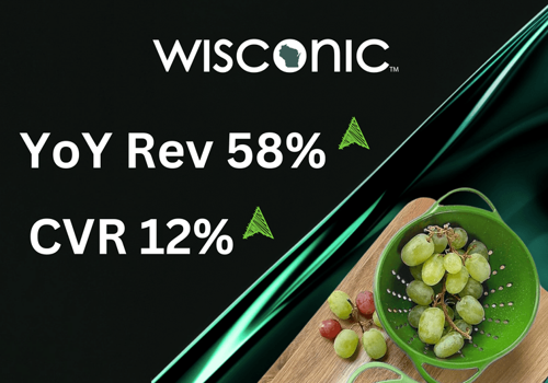 Ecommerce Marketing Package Example: Turned around struggling brand to 58% YoY growth