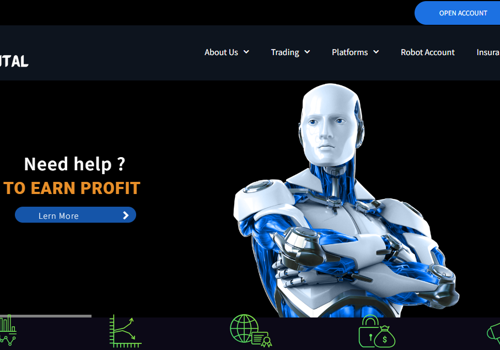 Search Engine Optimization Package Example: First Capitals Transforming with Strategic Financi