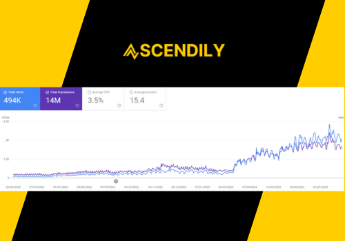 Search Engine Optimization Package Example: 1249% Organic Growth For Online Tobacco Shop