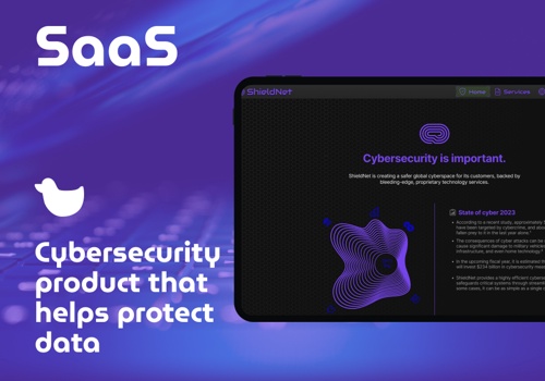 Custom Software Development Package Example: Cybersecurity product that helps protect data
