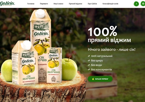 Web Development Package Example: Galicia