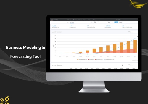 Custom Software Development Package Example: Business Modeling & Forecasting Tool