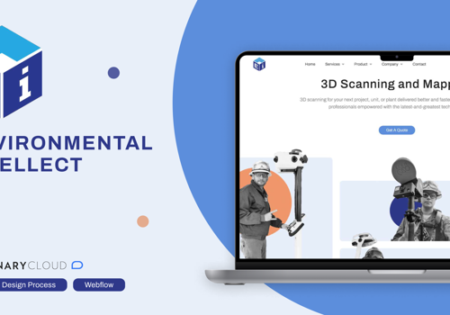 Web Design Package Example: Environmental Intellect