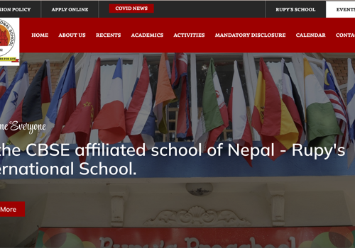 Web Design Package Example: Rupy's International School