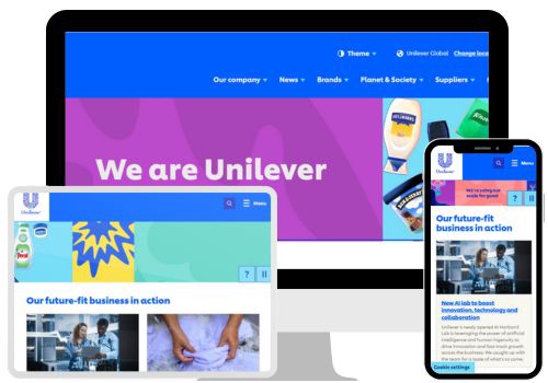 Web Development Package Example: Unilever Web Development