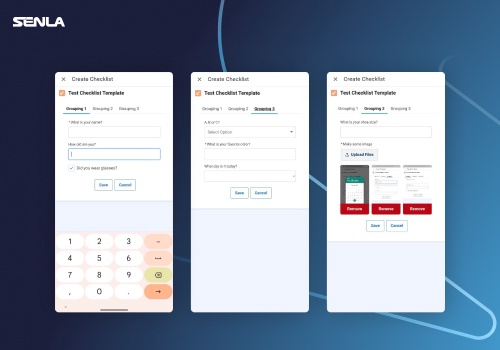 IT Staff Augmentation Package Example: SF customization for a manufacturing company