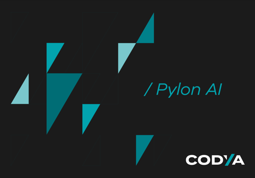Custom Software Development Package Example: pylon AI - web application for MLOps
