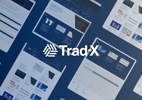 Web Design Package Example: Trad-X