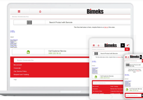 Web Development Package Example: Bimeks - Website Development