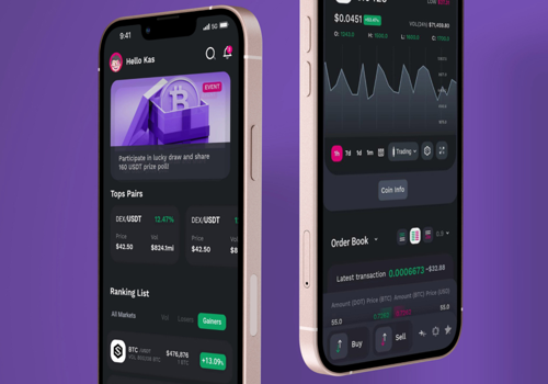UX/UI Design Package Example: Polkadex
