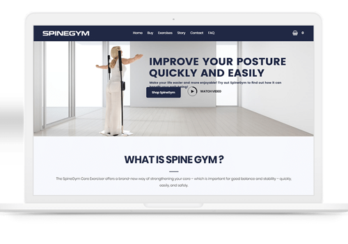 Web Development Package Example: Spine Gym - WordPress Development