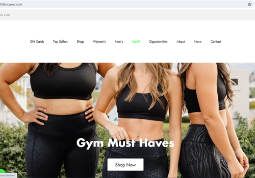 Web Development Package Example: E-commerce store for a client