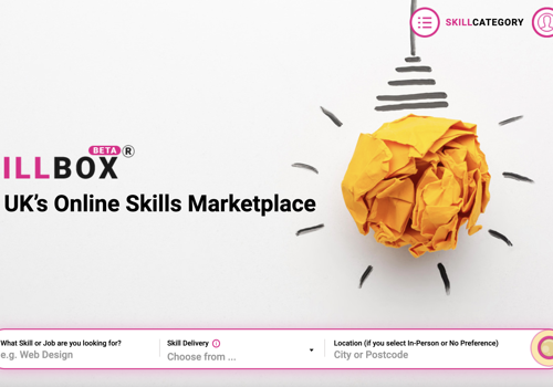 Web Development Package Example: Skillbox Custom Marketplace Platform