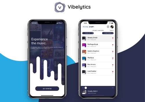 Mobile App Development Package Example: Vibelytics