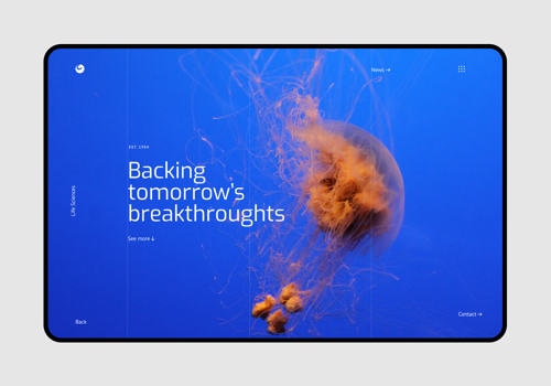 Branding Package Example: Creathor ~ Branding + Web Design