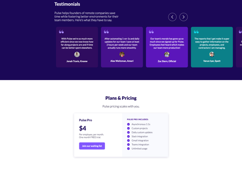 Web Development Package Example: Pulse.io Landing page