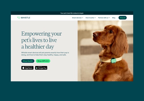 Web Development Package Example: Whistle