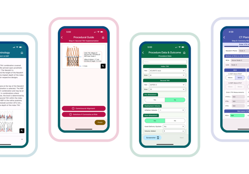UX/UI Design Package Example: Redo TAV Application