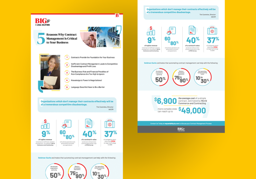 Content Marketing Package Example: BIG Language Solutions Infographic