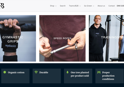 Web Development Package Example: Repbasics