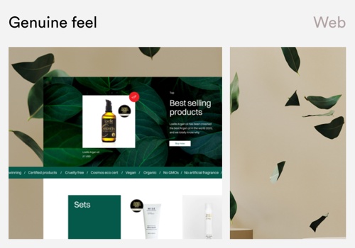 Web Design Package Example: GENUINE FEEL