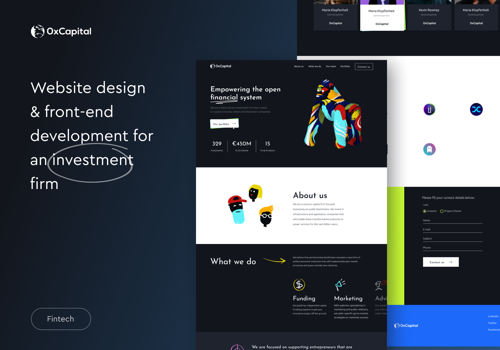 Web Design Package Example: 0xCapital l Web Design & Development
