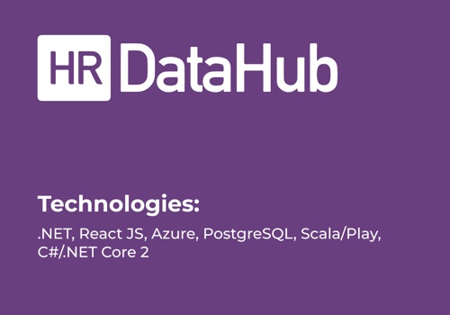 Custom Software Development Package Example: HR DataHub: Benchmarking and Analytics Platform