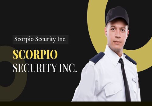 Web Development Package Example: Scorpio Security Inc.