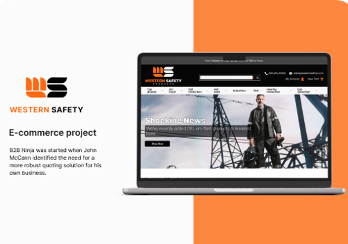 Custom Software Development Package Example: Website Development for Western Safety
