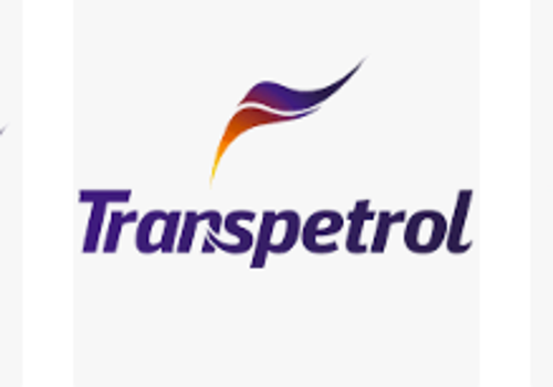 Executive Search Package Example: Expansion in LATAM