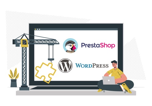 Web Development Package Example: Virtual customer advisor