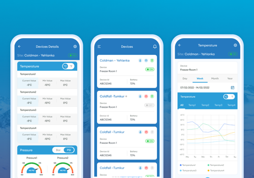Custom Software Development Package Example: Remote IoT Solution for Cold Storage