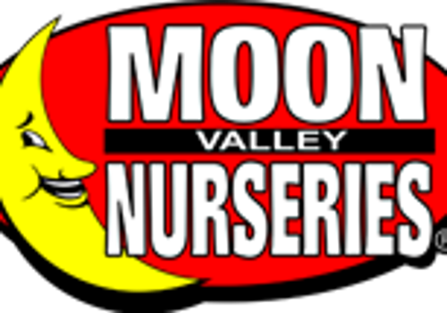 Digital Strategy Package Example: Skyrocketing Sales for Green Meadows Garden Suppli