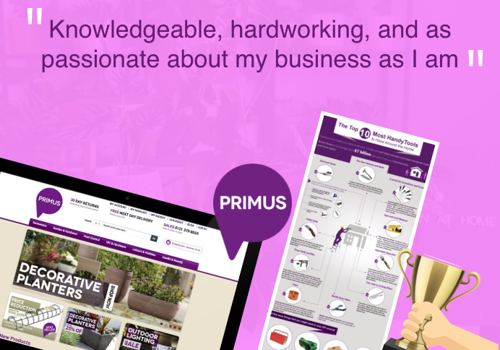 E-Commerce Development Package Example: Brand Identity, Logo & Custom Magento Design & SEO