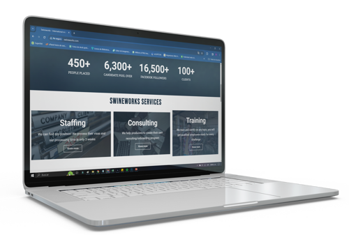 Web Design Package Example: SWINEWORKS