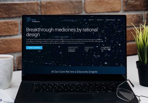 Web Design Package Example: New Website  for an Early Growth Global Biotech