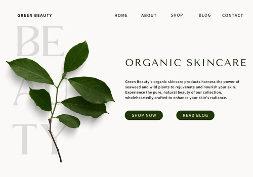 Web Development Package Example: Green Beauty - Website Development