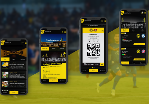 IT Staff Augmentation Package Example: BVB Connect