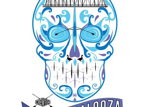 Branding Package Example: Scullapalooza Rowing Design