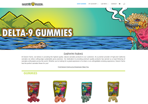 Web Design Package Example: Darwin Farms Gummies