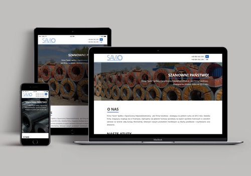 Web Design Package Example: Savio Bilingual Web Solution