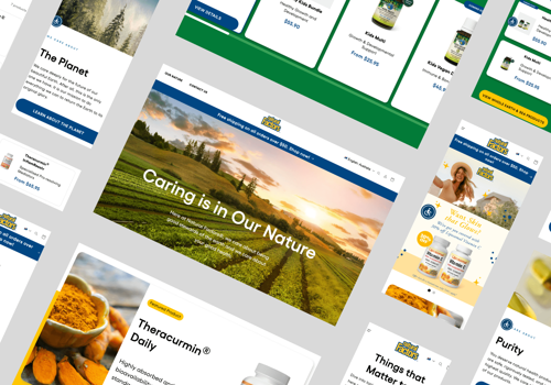E-Commerce Development Package Example: Custom Shopify Plus Design & Development